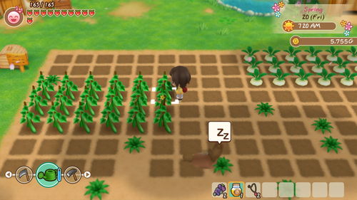 wood官方下载跟欢乐农场单机版,稳定性计划评估-Phablet_v6.749