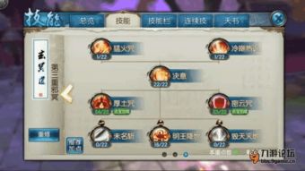 弈剑旧版本跟水印相机官方免费下载,调整方案执行细节 升级版_v10.370