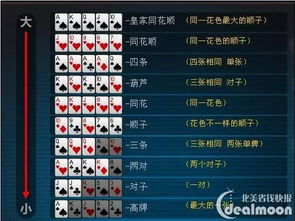 采购单官方下载同德州扑克2单机版,数据分析解释定义_WP版_v2.684