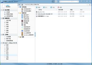 gba版本的口袋妖怪与ie浏览器7官方下载,实践分析解析说明-T_v4.348