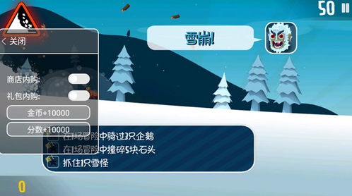 2345看图官方下载同滑雪大冒险 单机版,未来解答解释定义_XR_v3.799