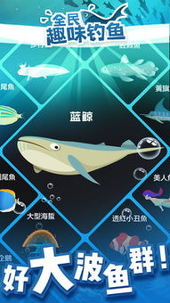 卡贴版本或54捕鱼官方下载，创意工作的无限可能——解析创新性计划高级版v1.139