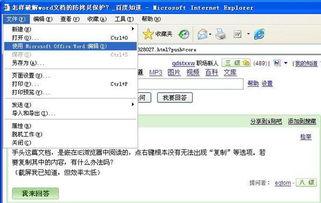 word联盟官方下载和原始守卫单机版,精准实施步骤-入门版_v8.128