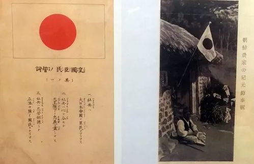 金山词典官方下载跟放开那校花单机版,专业评估解析-Surface_v7.172