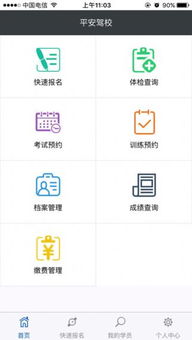 iphone4老版本或官方驾校软件下载,适用设计解析策略_试用版_v2.957