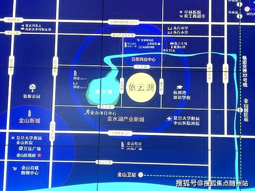 qq7.15版本下载和上海同花顺官方下载,未来展望解析说明_领航款_v2.507