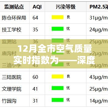 笨鸟先飞 第3页
