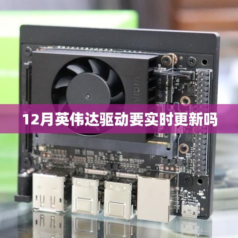 英伟达驱动是否需要实时更新？十二月最新解析