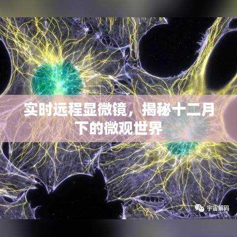 实时远程显微镜探索十二月微观世界奇迹