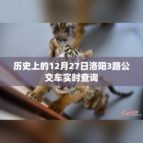 12月27日洛阳3路公交车实时查询与历史回顾