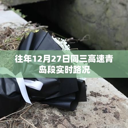 往年12月27日同三高速青岛段实时交通路况概览