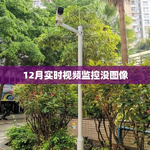 12月实时监控无图像问题解析