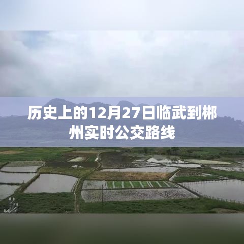 历史上的临武至郴州公交路线变迁，实时公交路线解析