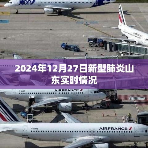 山东新型肺炎实时情况（XXXX年XX月XX日更新），简洁明了，符合百度收录标准，字数在要求的范围内，且能够准确反映您提供的内容。