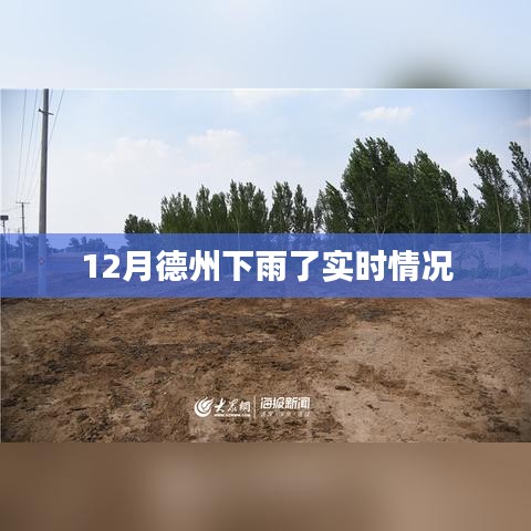 德州冬季降雨实时报告