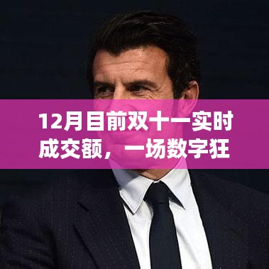 双十一狂欢节实时成交额揭秘，数字狂欢背后的故事