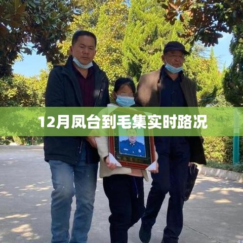 空谷幽兰 第3页