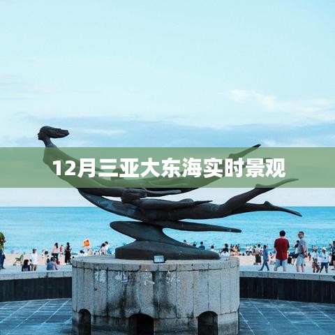 三亚大东海12月美景实时欣赏