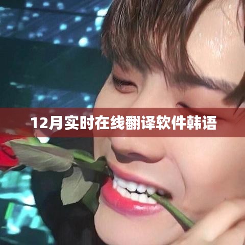 韩语实时在线翻译软件十二月更新