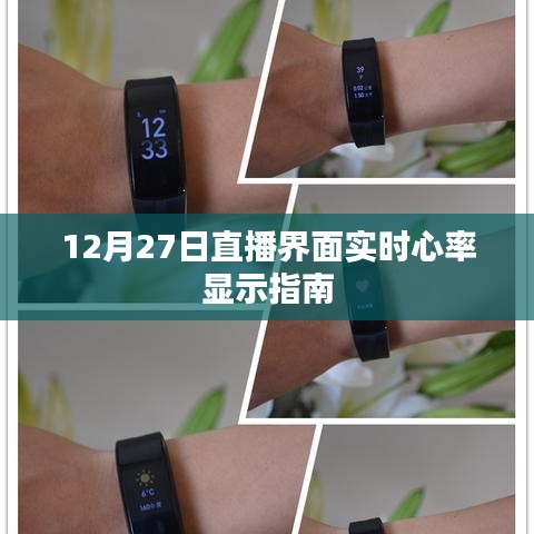 直播界面实时心率监测指南，12月27日操作指南