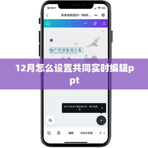 12月PPT实时共同编辑设置指南