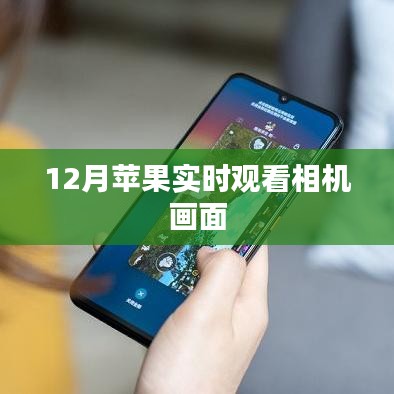 苹果实时相机画面观看指南