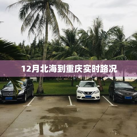 如花似玉 第3页