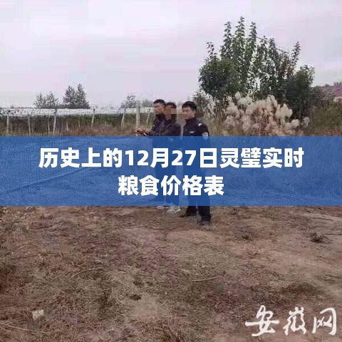 灵璧实时粮食价格表（历史12月27日）