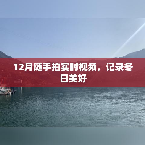 12月随手拍，冬日美好的实时记录