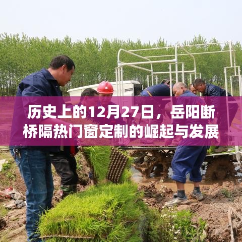 岳阳断桥隔热门窗定制崛起与发展历程