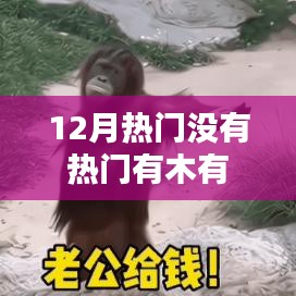 揭秘十二月热门话题，热门事件一网打尽！