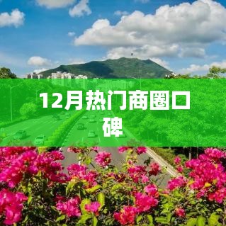 12月商圈人气爆棚，口碑榜单揭晓！