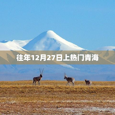 青海往年12月27日热点事件回顾