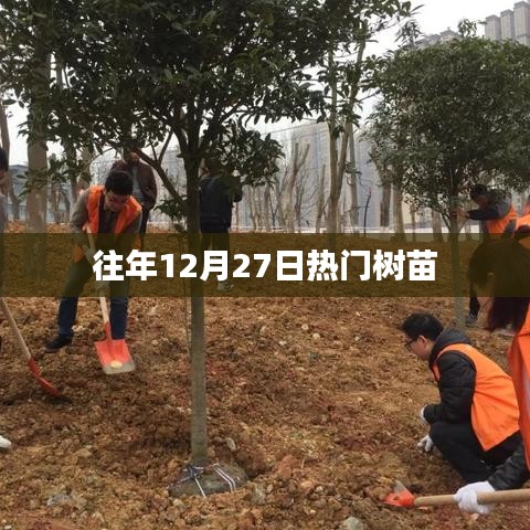 呼吸相通 第3页