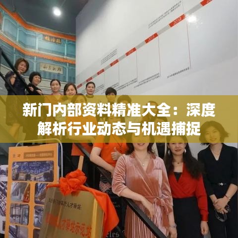 新门内部资料精准大全：深度解析行业动态与机遇捕捉