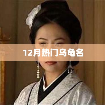 十二月热门乌龟名字盘点