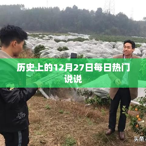 还淳反朴 第3页