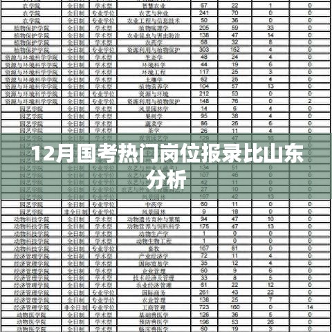 山东地区国考热门岗位报录比分析