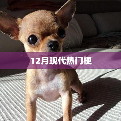 12月现代流行梗大盘点
