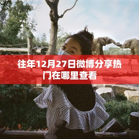 年终微博分享热点回顾，如何查看往年12月27日的热门内容