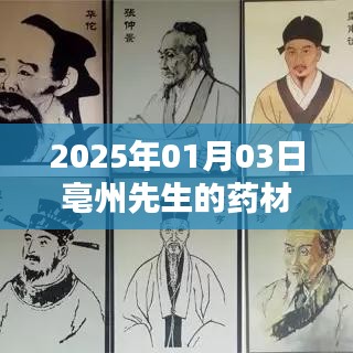 亳州先生药材，探寻传统药材的奥秘