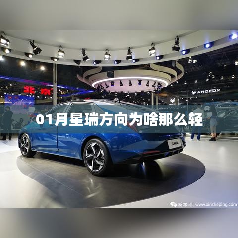 展翅欲飞 第3页