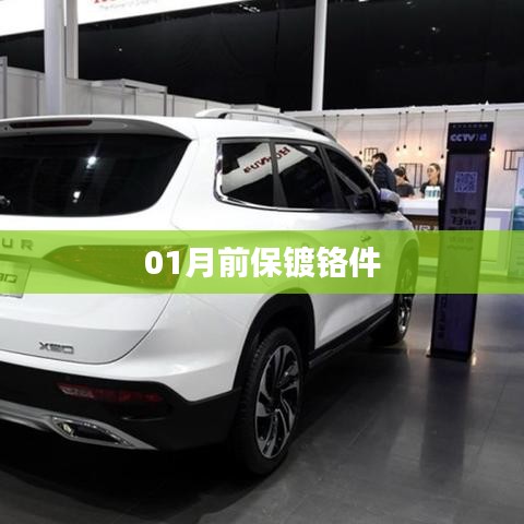 一月份前保障镀铬件供应
