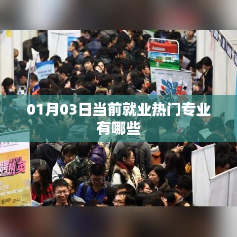 最新热门就业专业一览，01月就业趋势分析