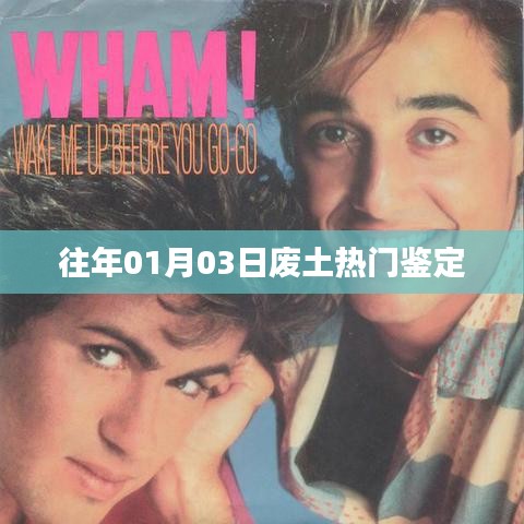 废土热门鉴定揭晓，揭秘历年盛行之日