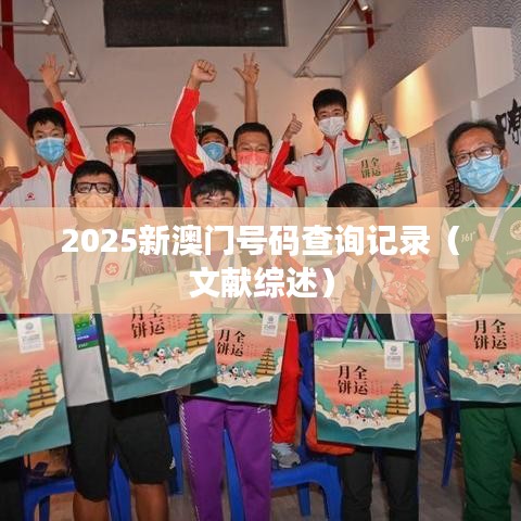 2025新澳门号码查询记录（文献综述）