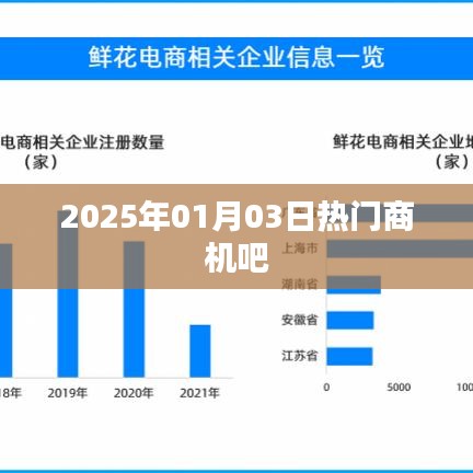 2025年1月3日商机热点解析