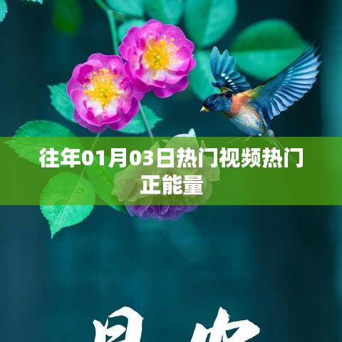 热门视频正能量盘点，历年一月三日必看之选