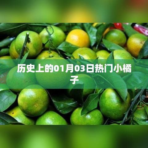 热门小橘子背后的历史故事，一月三日这一天的不凡时刻