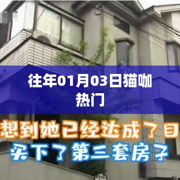 猫咖热门活动揭晓，历年精彩回顾